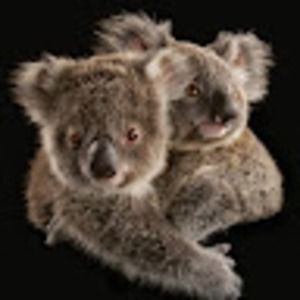 Meet your Posher, Carla